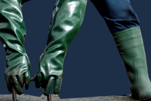 Evropsk&eacute; normy